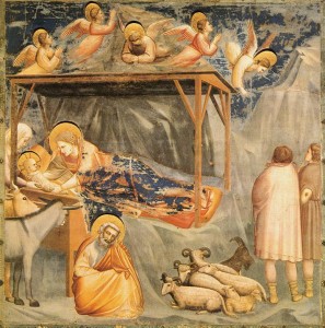 Natività Giotto Scrovegni